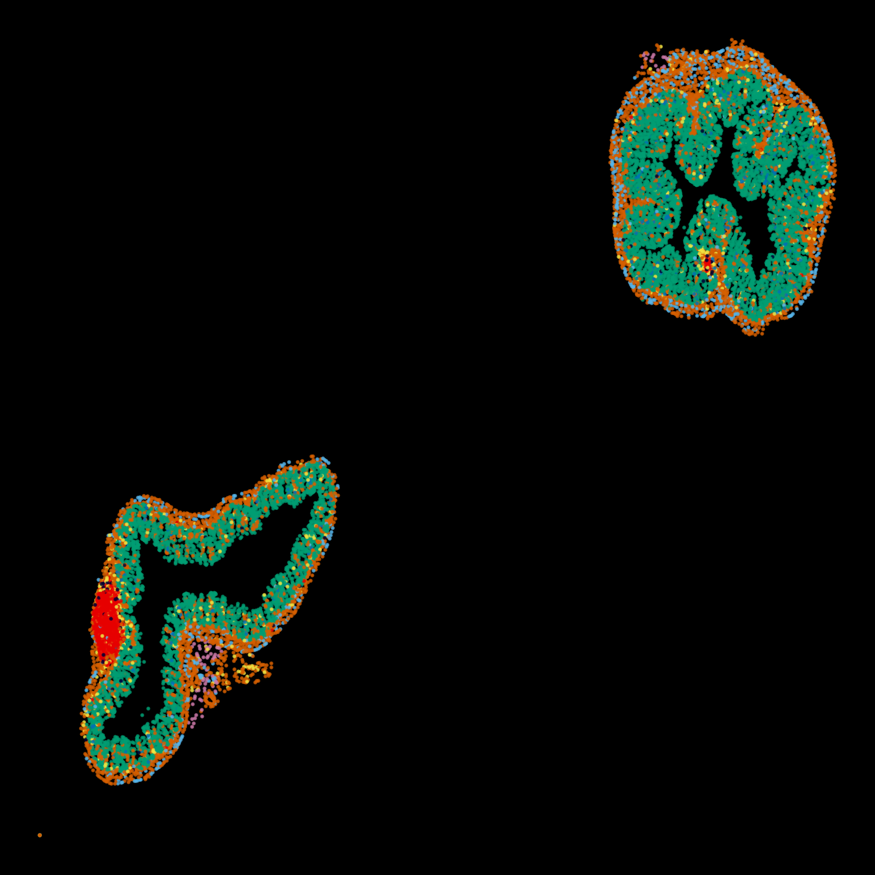 Colon spatial