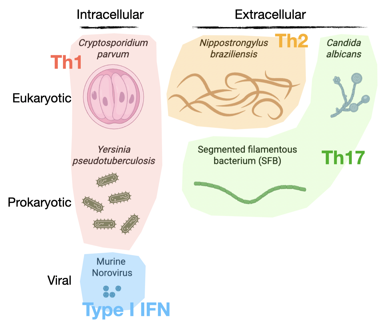 Experimental design for GutPath