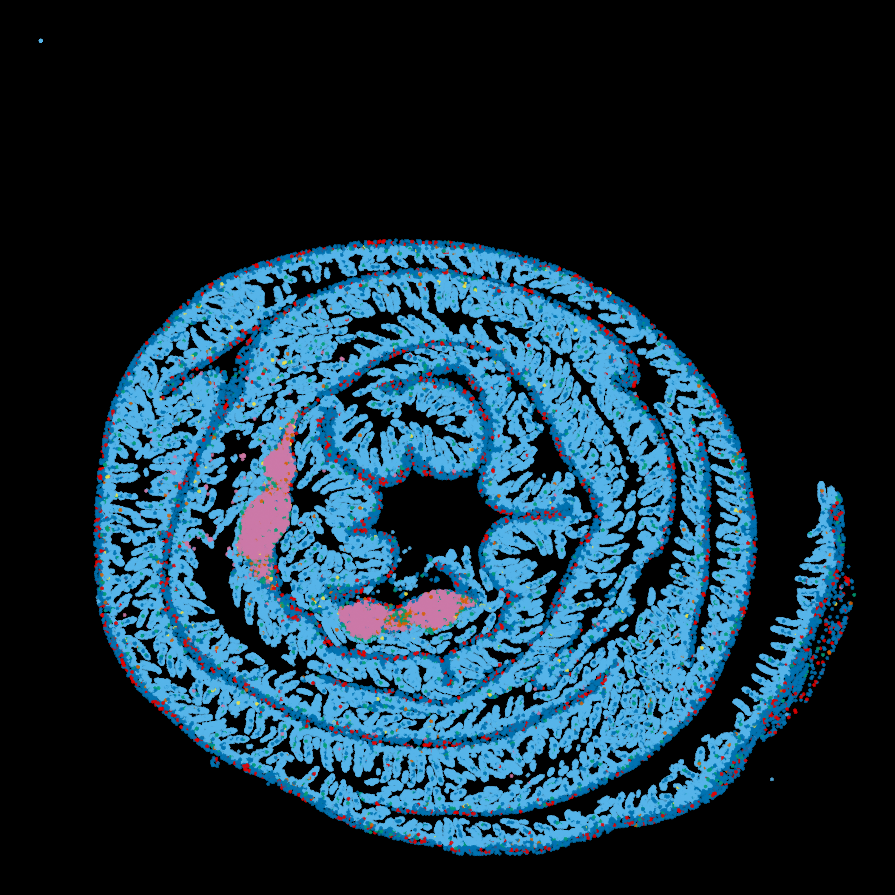 ileum spatial